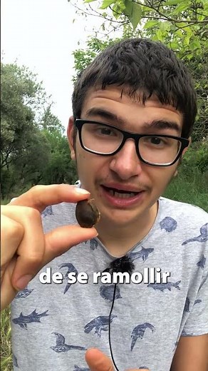 Peut-on faire pousser un ABRICOTIER à partir de son NOYAU ? 🤔🌿