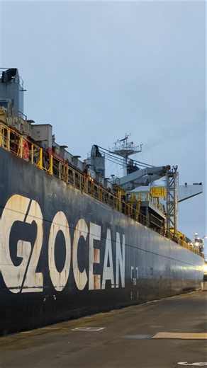 Bulk carrier so big it needs multiple tugboats #ships #maritime
