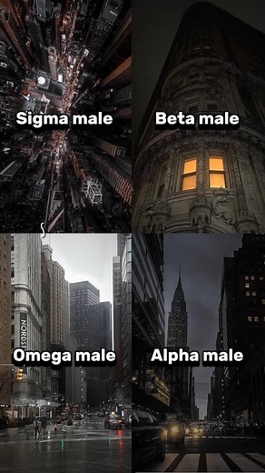 Sigma Anime - Alpha Male vs Omega Male Explained
