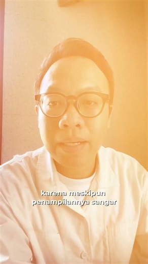 ternyata biawak banyak manfaatnya