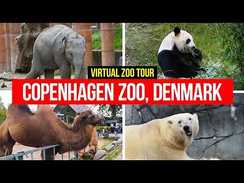 Copenhagen Zoo, Denmark | Virtual Zoo Tour