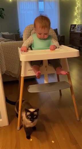 The Vacuuming Accomplice! 🤫 | Mbarara University of Science and Technology