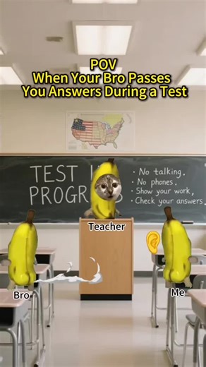 When Your Cat Brother Passes You Answers During a Test