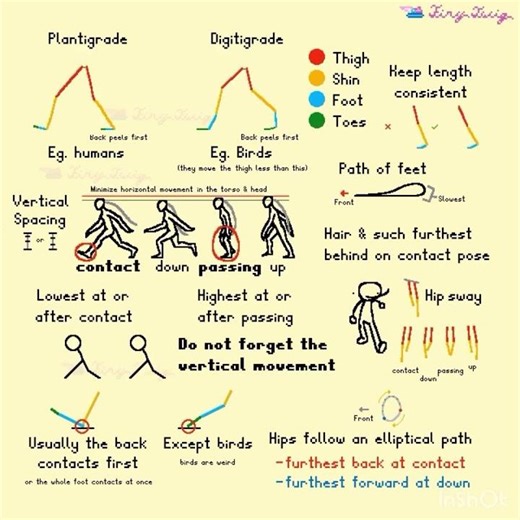 Biped Walk Cycle Tutorial - Animation Tutorial- CORRECTED #animation #animationmeme #art