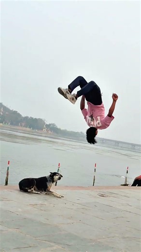 Dog is😰best🐶 and amazing dog flip #viraljump#dogshorts #dogclothes #animals #youtube•