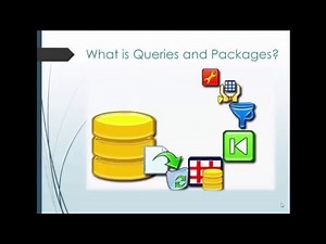 21. Informatica MDM 10 - Queries and Packages