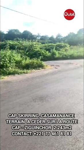📢 Grand terrain à vendre à Cap Skirring ! Situé sur la route principale Cap Skirring – Ziguinchor, ce grand terrain bénéficie d’un emplacement stratégique avec beaucoup de passage. ✅ Idéal pour : Hôtel ou auberge Restaurant / bar Station-service Supermarché ou commerce Projet touristique ou immobilier 🌴 Zone très touristique et en plein développement 💼 Une excellente opportunité d’investissement ou de business. 📍 Localisation : Route principale Cap Skirring – Ziguinchor Pour plus d’informati