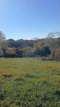 Caterpillar D6C 10k cleaning up around the pond