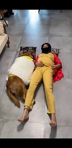 The warmth you gave me is irreplaceable. #puppy #littledog #spiritedpuppy | Mt.tv