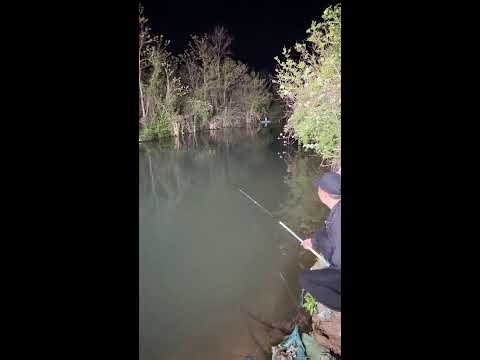 Strong fish broke the seat 🪑 | 괴물물고기 | 巨大魚