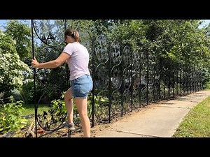 Creating a Custom Privacy Screen with Hummingbird Garden Trellises & Restoring a Neglected Garden!!!