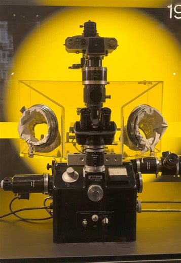 Ontdek de microwereld in ARTIS-Micropia