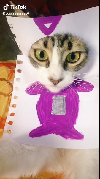 Adorable Teletubbies Cats Compilation