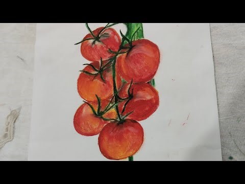@🍅 Tomato Drawing | Easy Vegetable Drawing Step by Step for Beginners
