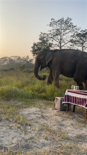 Expectations for Happy Hours in Chitwan