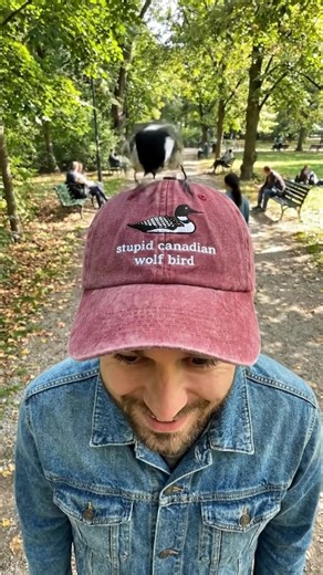 The stupid Canadian wold hat 🥵 #ilyarozanov #heaterivalry #shanehollander #woldbird #canadian