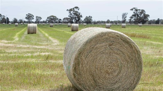 Hay prices plummet as subdued demand hits Aussie farmers