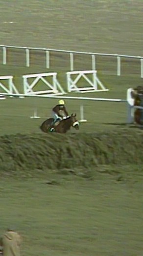 On this day in 1977 Red Rum made history 🙌 He reclaimed his Grand National crown for his THIRD win in the iconic race 😮 | Aintree Racecourse