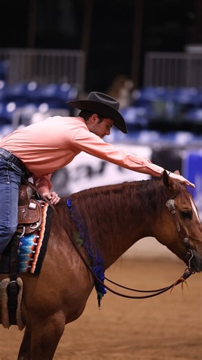 Gunners Special Nite, sire of over $8M, delivers elite performers that dominates the arena! 𝗕𝗿𝗮𝗶𝗻𝘀, 𝗛𝗲𝗮𝗿𝘁, 𝗮𝗻𝗱 𝗧𝗮𝗹𝗲𝗻𝘁 𝗶𝗻 𝗲𝘃𝗲𝗿𝘆 𝗳𝗼𝗮𝗹. 💜 📧 Secure your breeding contract now for a proven winner! _____________________________ For breeding questions and bookings, please contact: Tom McCutcheon Reining Horses ☎️ 940-453-0003 📧mccutcheonbreeding@gmail.com #GunnersSpecialNite #GSN #Bailey #8milliondollarsire #reiningstuds #reiningsires #reiningstallions #stallions #rein