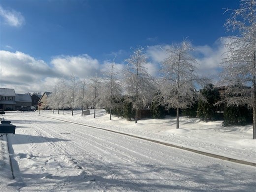 Frost quakes reported across Middle TN