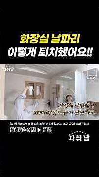 🦟화장실 날파리 완벽 퇴치법!!!! #shorts