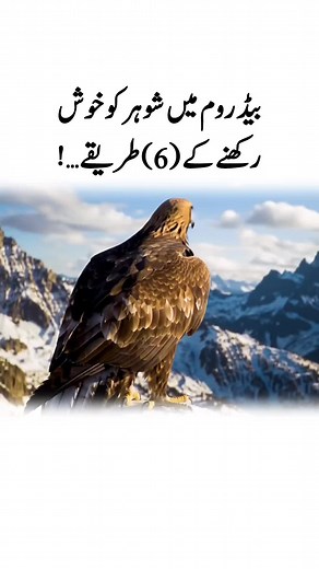 King of the Mountains: Eagle Power in Flight