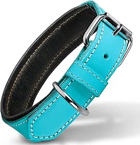 Filbert Leather Dog Collar, Genuine Leather Collar for Large Dogs, Premium, Luxury Padded, Strong, Adjustable for All Breeds, Heavy Metal Buckle, Ultra-Durable, Blue