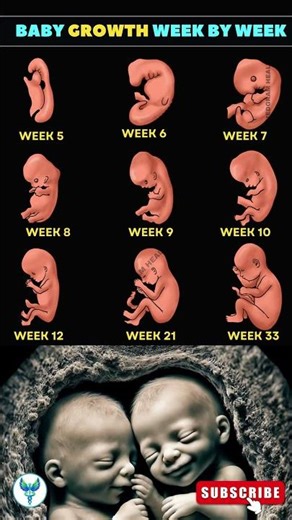 Fetal Development Week by Week: A Guide for Expecting Moms | Pregnancy Guide #shortsfeed #fertility