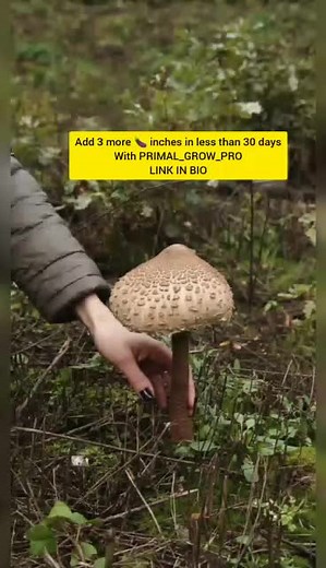 PRIMAL GROW PRO on TikTok
