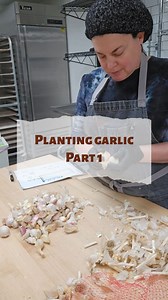 Garlic Planting PART 1 I like to plant a mixture of seed garlic I buy and some of the largest cloves of garlic from last season's harvest. Next step is getting these in the ground | Homegrown Kosher