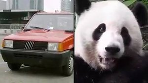 15K views · 393 reactions |  PANDA FROM HELL  Lo spot geniale e ignorantissimo di Subito.it per comunicare che sulla loro piattaforma si trovano facilmente auto usate. | Marketing Ignorante | Facebook
