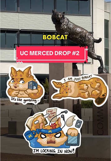 UC Merced Sticker Drop: College Life and Designs