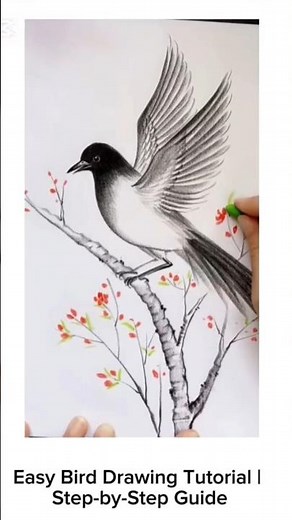 🎨 Step-by-Step Bird Drawing | Easy Art Tutorial for Beginners