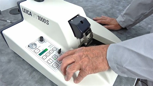 振动切片Leica VT1000 S Vibrating Blade Microtome