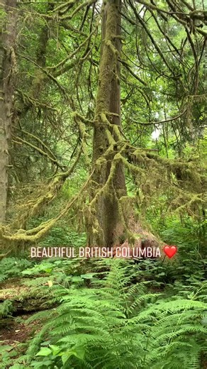 We have some of the most stunning places to wander here ❤️ #OneLoveOneHeart #explorebc #beautifulbc #westcoast #britishcolumbiacheck #wanderlust