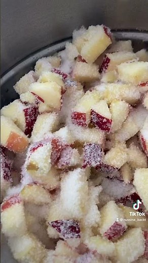 Das musst du echt mal selbst machen / Apfelsirup mit einem Dampfentsafter 👏🏻🤩
