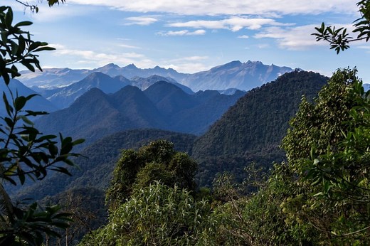 Conoce el Chocó Andino, la séptima reserva de la biósfera de Ecuador