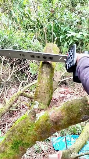 Lithium chainsaw firewood test: 18-inch blade makes cutting tree trunks super easy