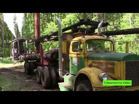 Steam Logging Demonstration with Steam Donkey and Vintage Log Truck. Pomeroy Farm WA