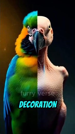 What If Parrots Never Had Feathers? 😱 | Animal Anatomy #Shorts