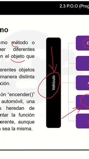 17 - Java For Testers - Intro - Polimorfismo 4