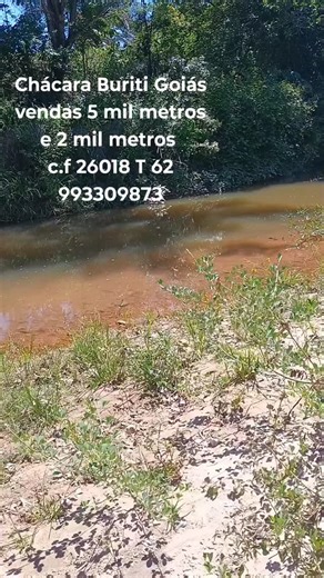 Wilhas Morais on Instagram: "T 62 99330.9873"