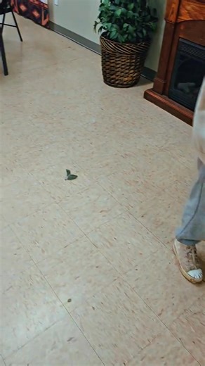 Everyone getting beading done while the young ones sing. This was a beautiful lakota day! Delicious food, good coffee, good visits. We are all working on something together! Lifts my heart to be apart of something beautiful. Each stitch, each line of beads sewn down is sewing our spirits to our past and all the Ancestors teachings, hopes and dreams for our culture and future lakota generations. #WotakuyeGluwasakapi Great Plains Tribal Leaders Health Board | Oyate Ikikcupi