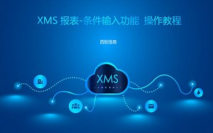XMS报表-条件输入功能 操作教程