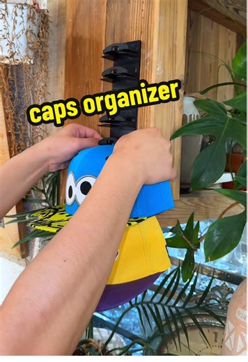 Create Your Perfect Wall with Modular Design