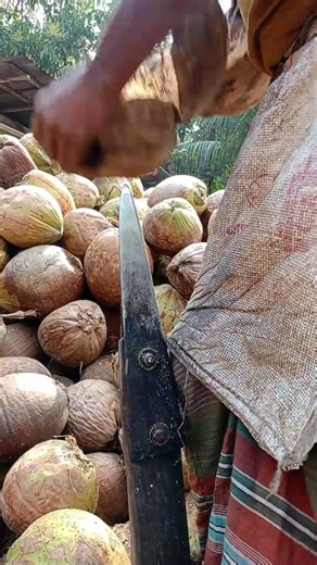How to Peel a Coconut the Traditional Way 🥥
