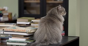 Old books, new chapter: Missoula's newest used bookstore offers rare reads