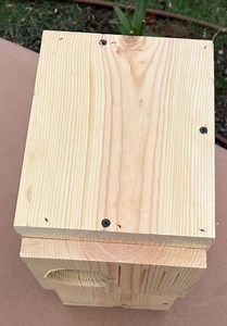 Sun Conures, Parrot Nesting Box - Etsy