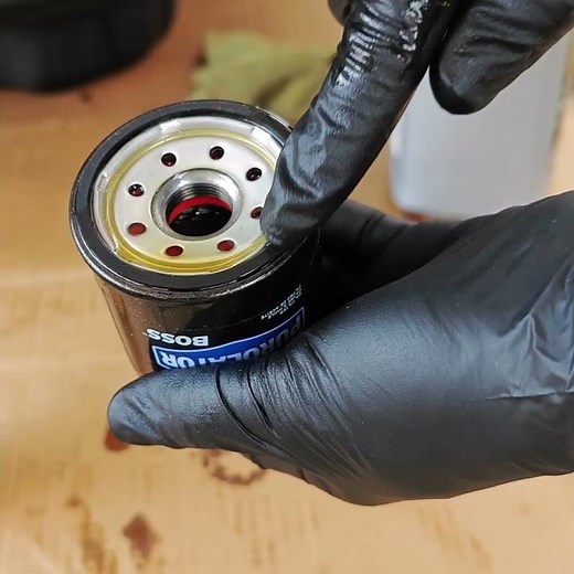 Valvoline Restore & Protect plus Purolator Boss...