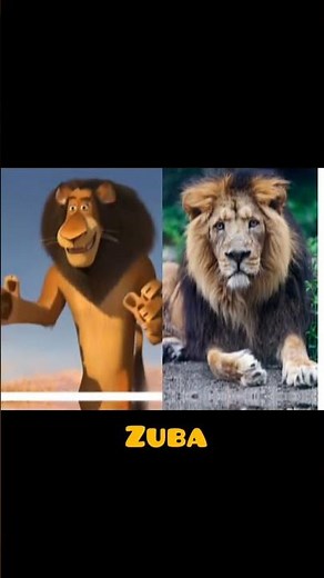 MADAGASCAR characters IN REAL LIFE| ALL CHARACTERS | Real Life- Comparison #shorts #madagascar 123